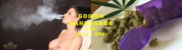 прущие грибы Новокубанск